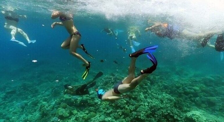 Hula Hula Island Beach Escape Cruise Hurghada Provided by Ahhmedfouda