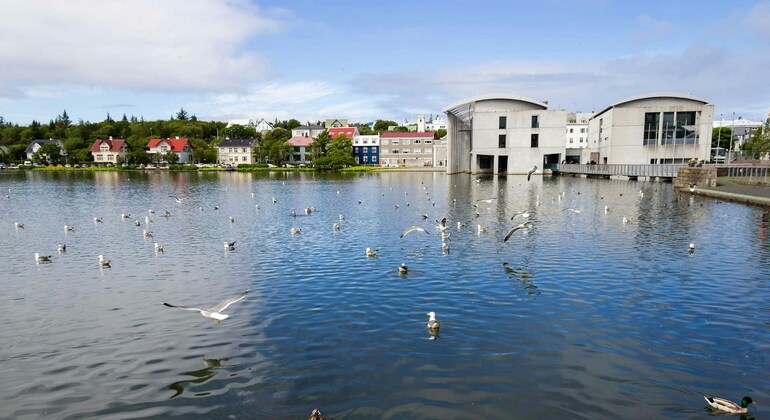 Highlights of Reykjavik: Self Guided Exploration Game  Iceland &mdash; #4