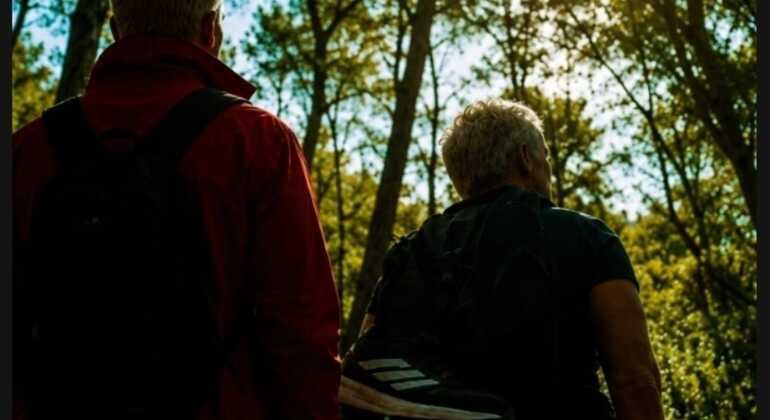 Inmersión en Bosque: Reconecta con la Naturaleza Vuelve a lo Esencial España &mdash; #3