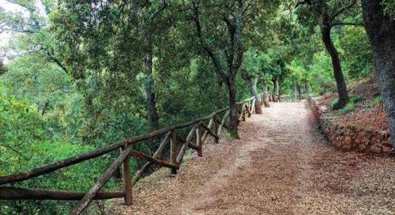 Visite guidée gratuite sur le thème de la biodiversité à la Font Roja Espagne &mdash; #2