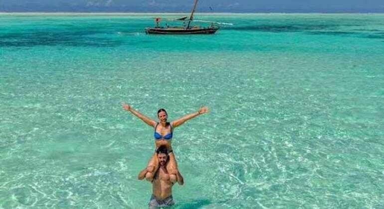 Zanzibar's Triple Treasure: Dolphins, Turtles & Paradise Beach Escape Tanzania &mdash; #12