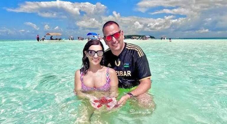 Zanzibar's Triple Treasure: Dolphins, Turtles & Paradise Beach Escape Tanzania &mdash; #16