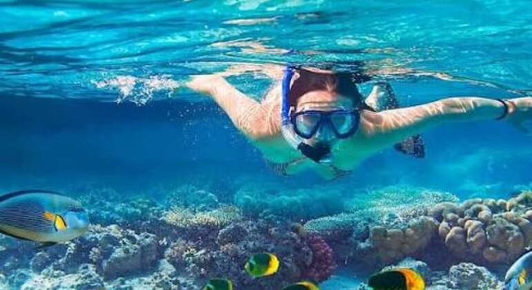 Zanzibar's Triple Treasure: Dolphins, Turtles & Paradise Beach Escape Tanzania &mdash; #20