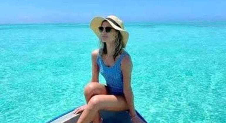 Zanzibar's Triple Treasure: Dolphins, Turtles & Paradise Beach Escape Tanzania &mdash; #22