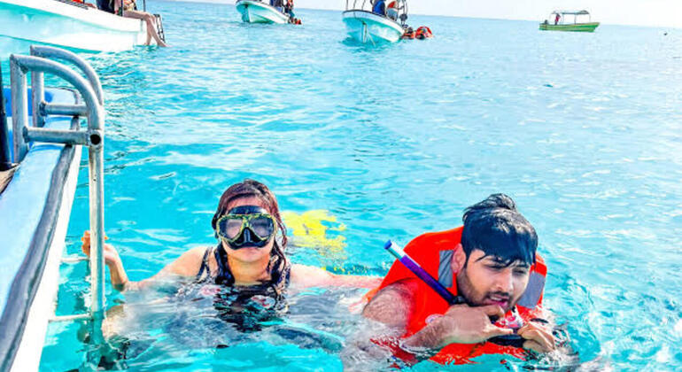 Zanzibar's Triple Treasure: Dolphins, Turtles & Paradise Beach Escape Tanzania &mdash; #24