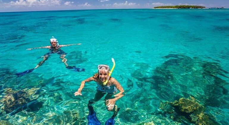 Zanzibar's Triple Treasure: Dolphins, Turtles & Paradise Beach Escape Tanzania &mdash; #25