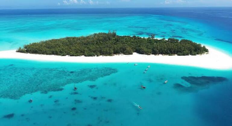 Zanzibar's Triple Treasure: Dolphins, Turtles & Paradise Beach Escape Tanzania &mdash; #26