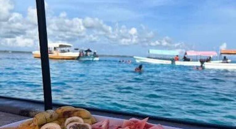 Zanzibar's Triple Treasure: Dolphins, Turtles & Paradise Beach Escape Tanzania &mdash; #29