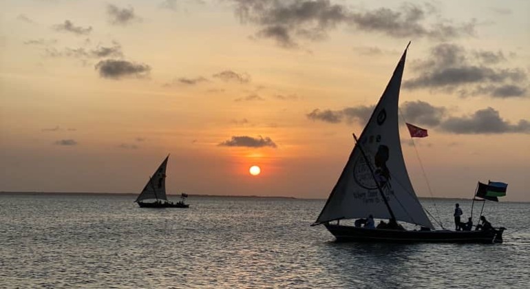 Zanzibar's Triple Treasure: Dolphins, Turtles & Paradise Beach Escape Tanzania &mdash; #37