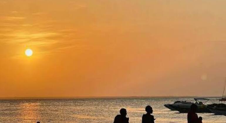 Zanzibar's Triple Treasure: Dolphins, Turtles & Paradise Beach Escape Tanzania &mdash; #38