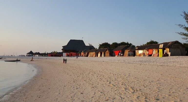 Zanzibar's Triple Treasure: Dolphins, Turtles & Paradise Beach Escape Tanzania &mdash; #39