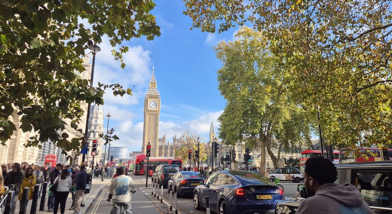 Royal & Political London Tour: Wellington Arch to Westminster Provided by Aayan