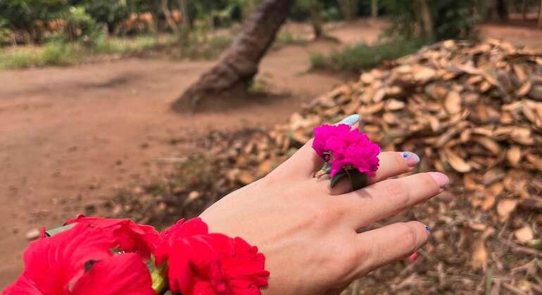 Spice Farm Tour with a Lunch Option Tanzania &mdash; #7