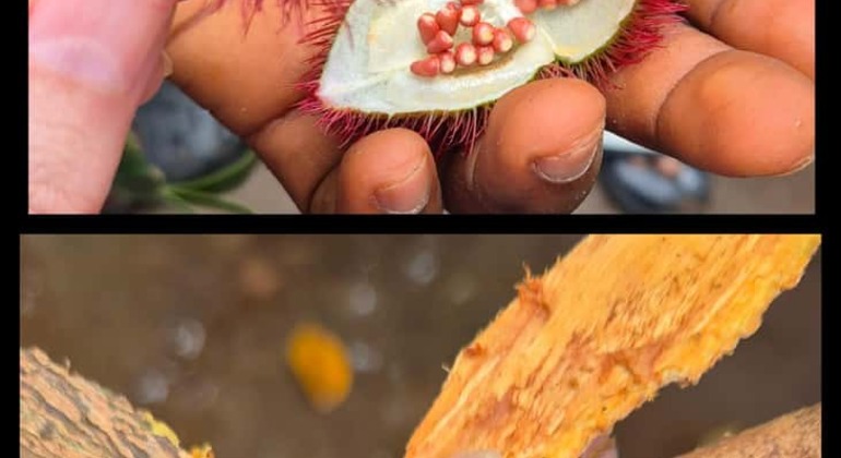 Spice Farm Tour with a Lunch Option Tanzania &mdash; #9