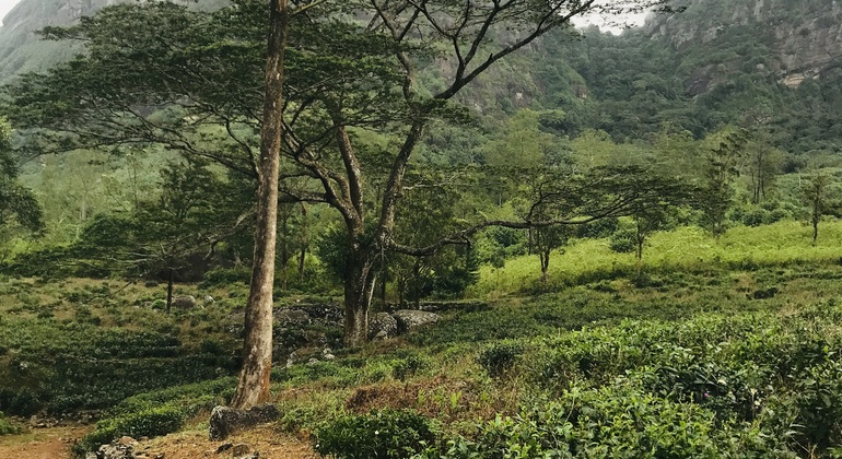 Peko-Trail-Tour: Erste Etappe Sri Lanka &mdash; #3
