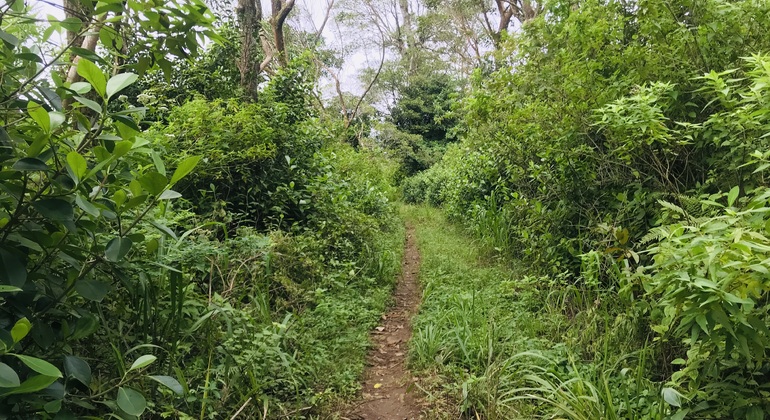Peko-Trail-Tour: Erste Etappe Sri Lanka &mdash; #4