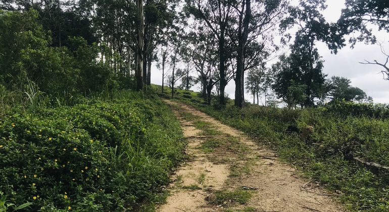 Peko-Trail-Tour: Erste Etappe Sri Lanka &mdash; #5