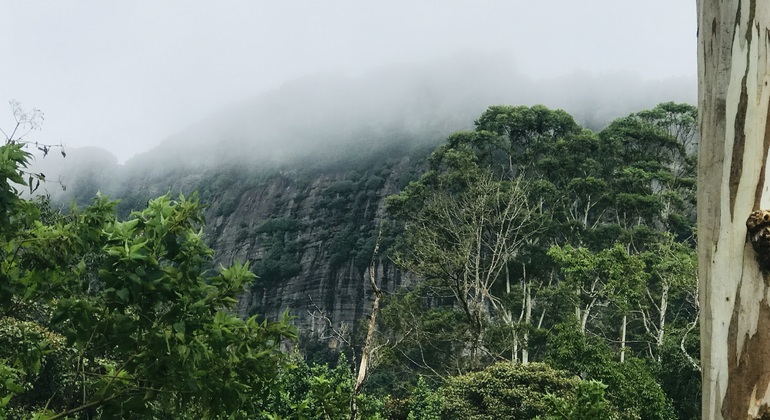 Peko-Trail-Tour: Erste Etappe Sri Lanka &mdash; #9
