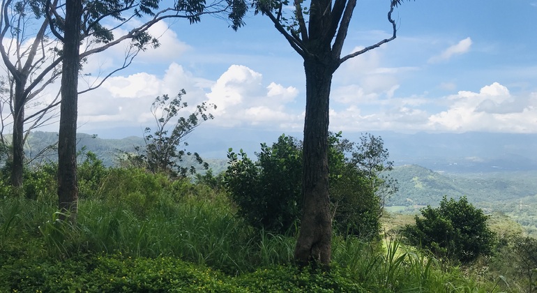 Peko-Trail-Tour: Erste Etappe Sri Lanka &mdash; #21