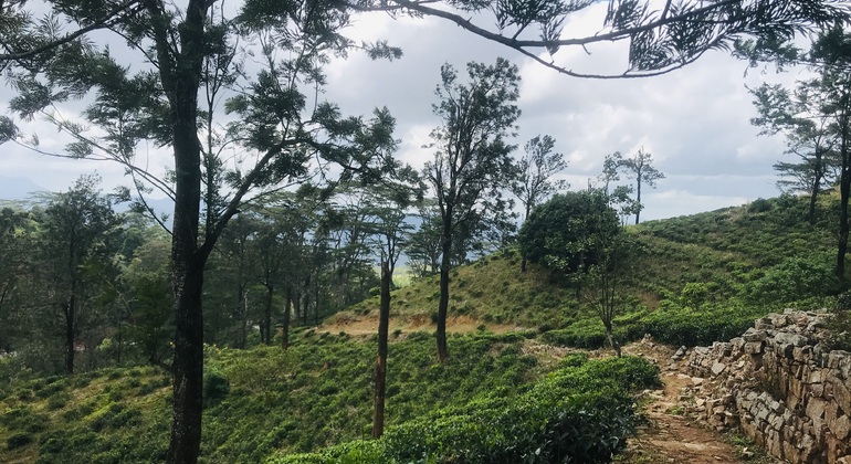 Peko-Trail-Tour: Erste Etappe Sri Lanka &mdash; #22