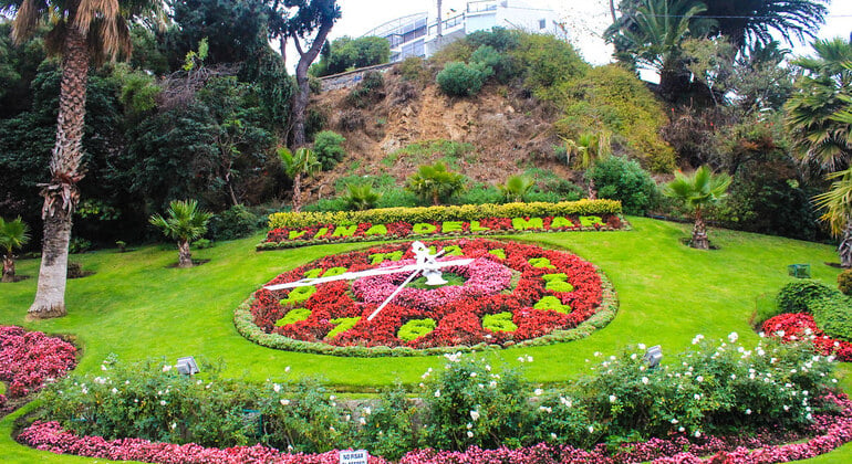 Free LGBTour Viña del Mar