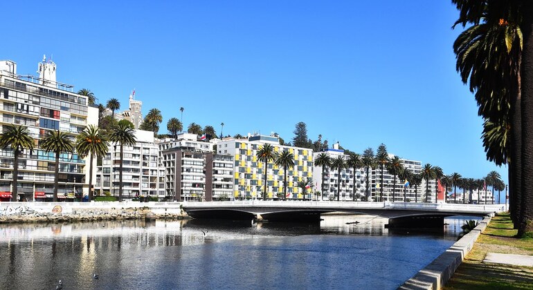 Free LGBTour Viña del Mar Chile &mdash; #5