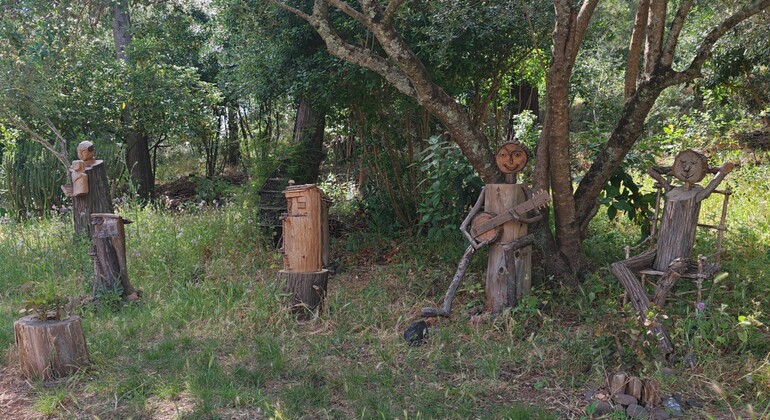 Entfliehen Sie dem Stadttrubel: Lissabons schönste Ausblicke vom Monsanto-Waldpark aus Portugal &mdash; #8
