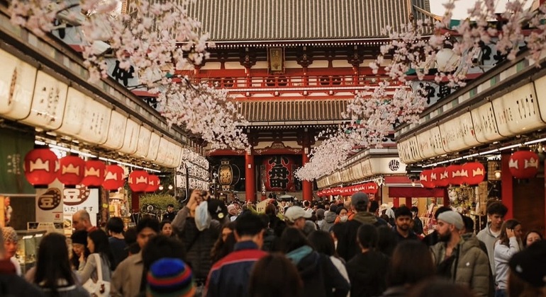 Asakusa Food Tour with a Local Japan &mdash; #6