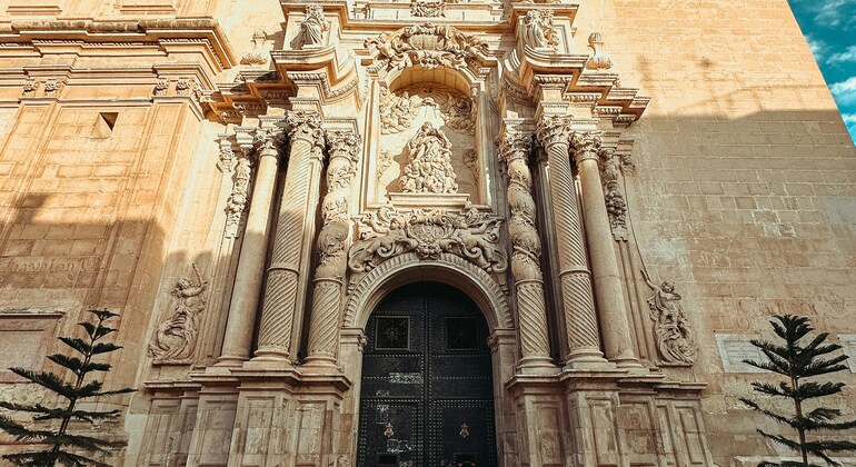 Descubre Elche: una ciudad de palmeras, historia y vida local