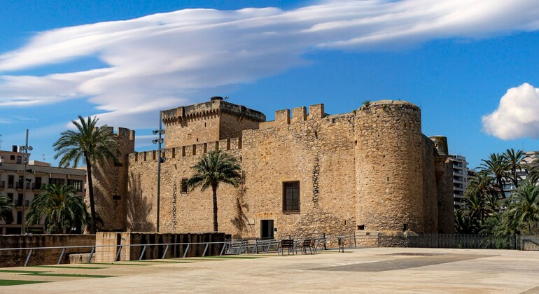 Alla scoperta di Elche: una città tra palme, storia e vita locale Spagna &mdash; #2