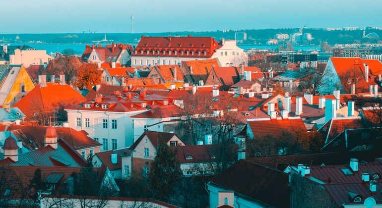 Tallinn Uncovered Free Tour: Medieval Legends, Hidden Streets & Modern Provided by falagency
