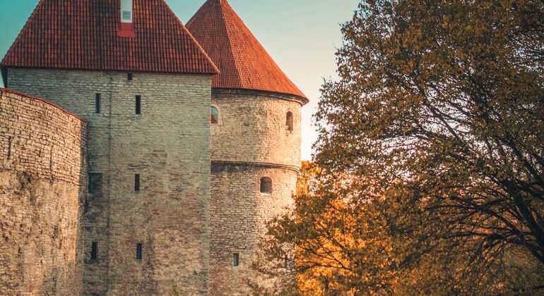 Tallinn Uncovered Free Tour: Medieval Legends, Hidden Streets & Modern Estonia &mdash; #2