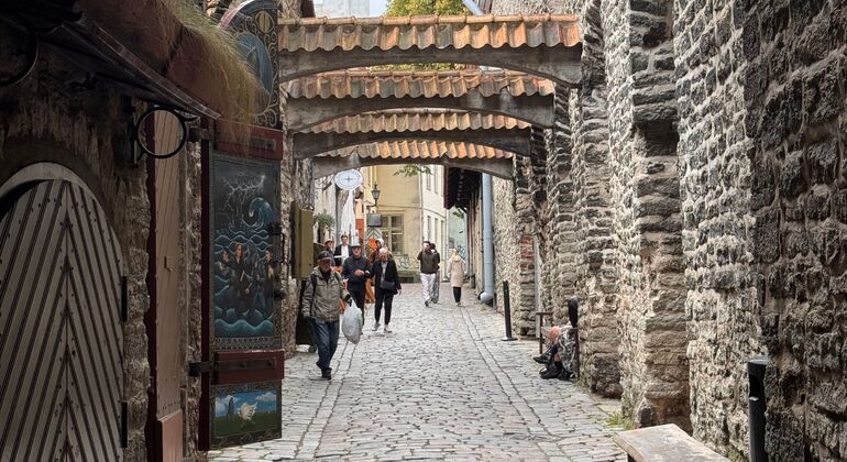 Tallinn Uncovered Free Tour: Medieval Legends, Hidden Streets & Modern Estonia &mdash; #4