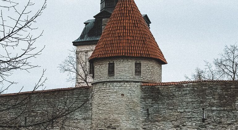 Tallinn Uncovered Free Tour: Medieval Legends, Hidden Streets & Modern Estonia &mdash; #9