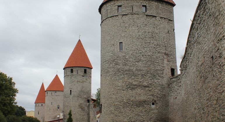 Tallinn Uncovered Free Tour: Medieval Legends, Hidden Streets & Modern Estonia &mdash; #10