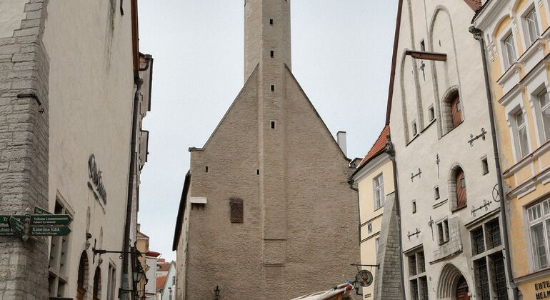 Tallinn Uncovered Free Tour: Medieval Legends, Hidden Streets & Modern Estonia &mdash; #12
