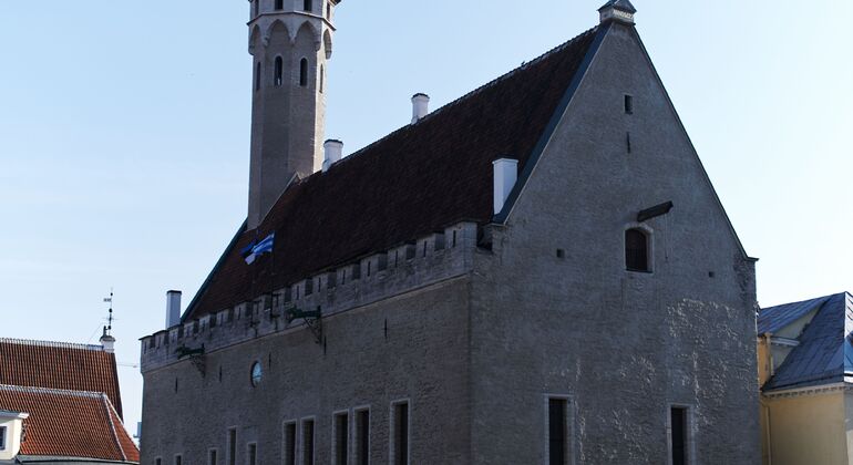 Tallinn Uncovered Free Tour: Medieval Legends, Hidden Streets & Modern Estonia &mdash; #13