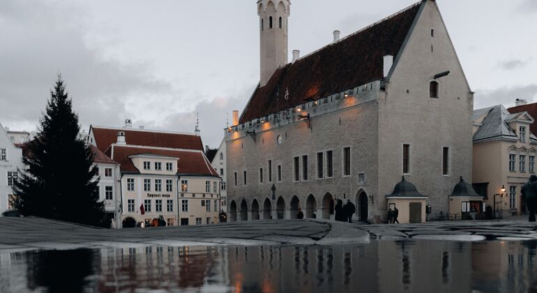 Tallinn Uncovered Free Tour: Medieval Legends, Hidden Streets & Modern Estonia &mdash; #17