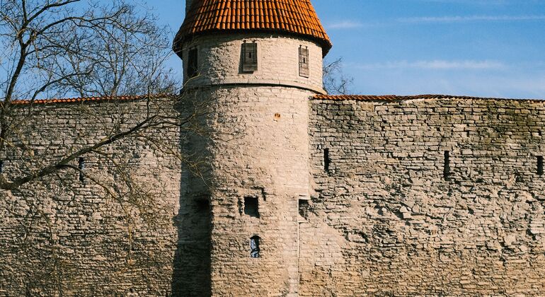 Tallinn Uncovered Free Tour: Medieval Legends, Hidden Streets & Modern Estonia &mdash; #18