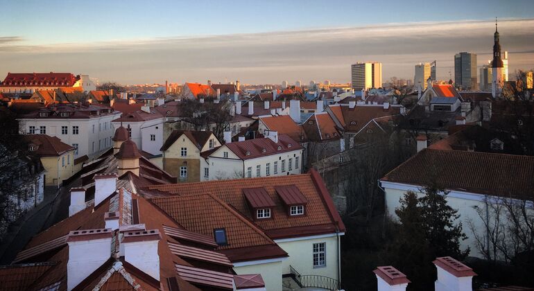 Tallinn Uncovered Free Tour: Medieval Legends, Hidden Streets & Modern Estonia &mdash; #19
