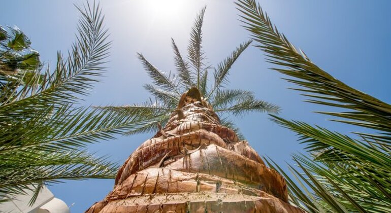 Hurghada Private City Tour with Marina, Mosque & Local Markets Egypt &mdash; #2