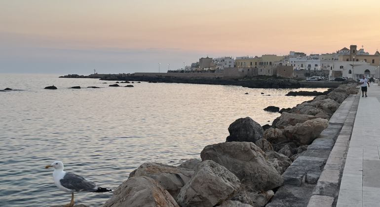A Stroll Through the Heart of Gallipoli Provided by Sabrina