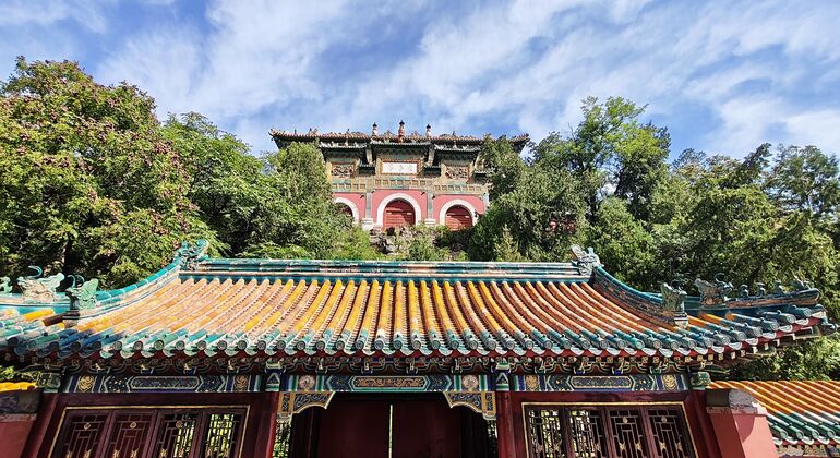 Summer Palace Highlights Tour - Tickets Not Included China &mdash; #4