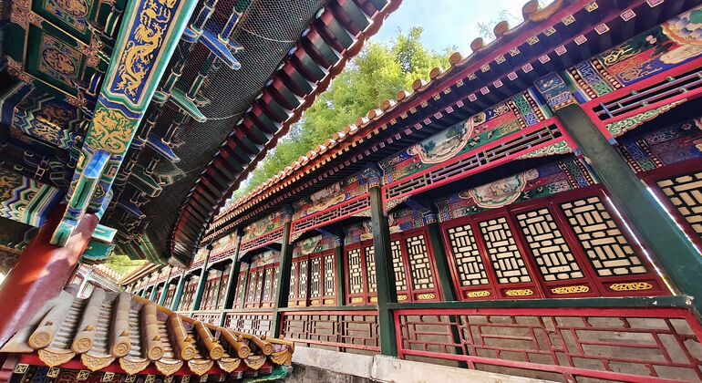 Summer Palace Highlights Tour - Tickets Not Included China &mdash; #6
