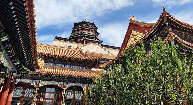 Summer Palace Highlights Tour - Tickets Not Included China &mdash; #22