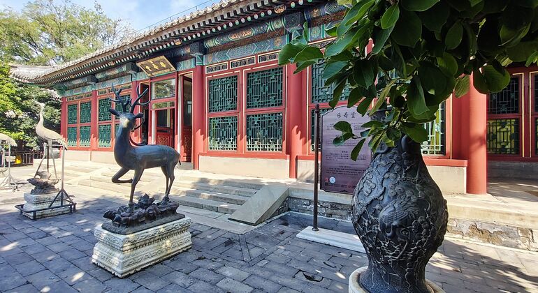 Summer Palace Highlights Tour - Tickets Not Included China &mdash; #23