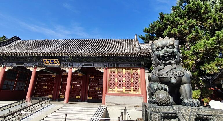 Summer Palace Highlights Tour - Tickets Not Included China &mdash; #26