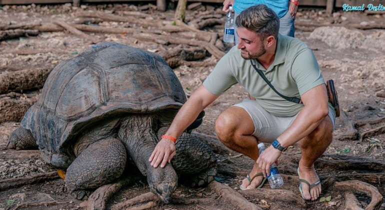 Prison Island & Stone Town Tour: Giant Tortoises, History & Culture Tanzania &mdash; #4