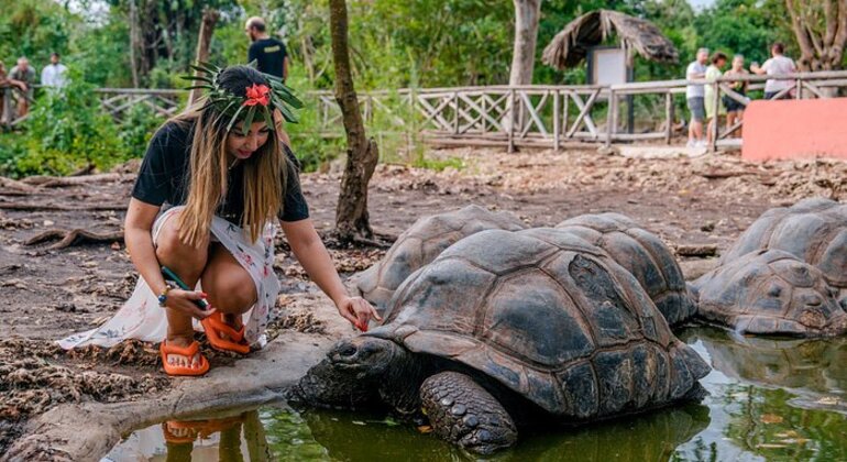 Prison Island & Stone Town Tour: Giant Tortoises, History & Culture Tanzania &mdash; #5