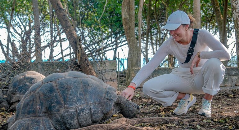 Prison Island & Stone Town Tour: Giant Tortoises, History & Culture Tanzania &mdash; #6